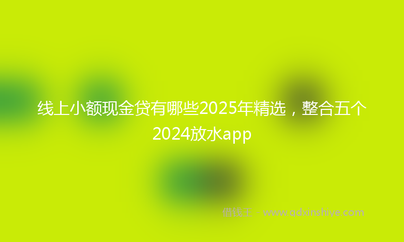 线上小额现金贷有哪些2025年精选，整合五个2024放水app