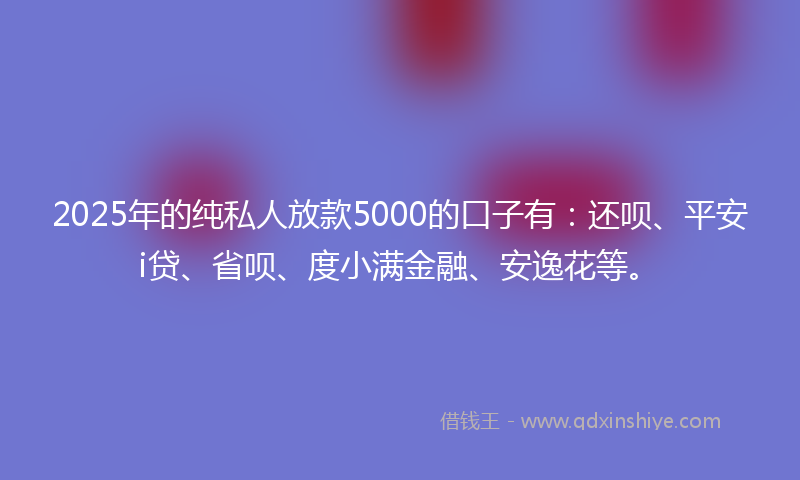 2025年的纯私人放款5000的口子有：还呗、平安i贷、省呗、度小满金融、安逸花等。