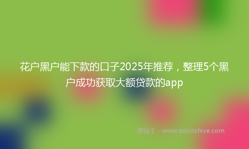 花户黑户能下款的口子2025年推荐，整理5个黑户成功获取大额贷款的app