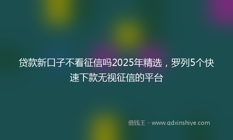 贷款新口子不看征信吗2025年精选，罗列5个快速下款无视征信的平台