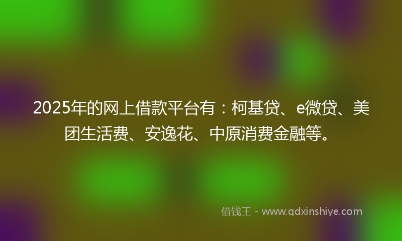 2025年的网上借款平台有：柯基贷、e微贷、美团生活费、安逸花、中原消费金融等。