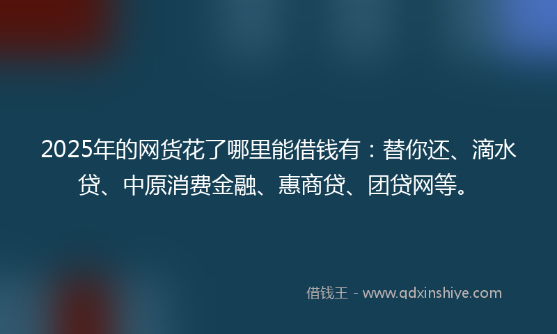 2025年的网货花了哪里能借钱有：替你还、滴水贷、中原消费金融、惠商贷、团贷网等。
