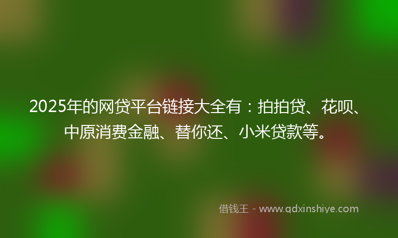 2025年的网贷平台链接大全有：拍拍贷、花呗、中原消费金融、替你还、小米贷款等。