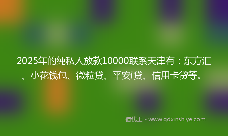 2025年的纯私人放款10000联系天津有：东方汇、小花钱包、微粒贷、平安i贷、信用卡贷等。