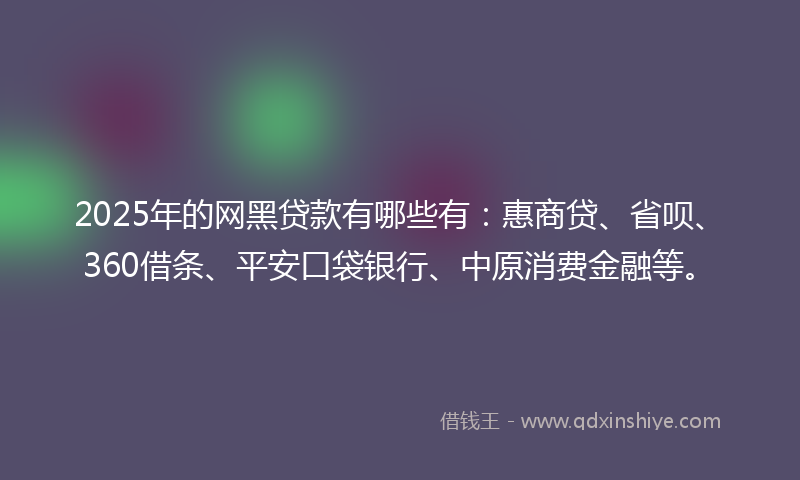 2025年的网黑贷款有哪些有：惠商贷、省呗、360借条、平安口袋银行、中原消费金融等。