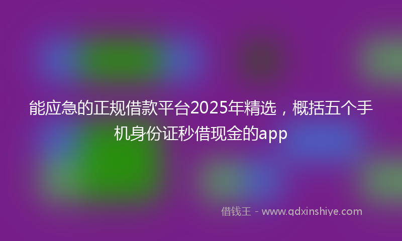 能应急的正规借款平台2025年精选，概括五个手机身份证秒借现金的app