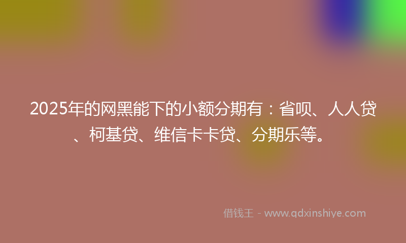 2025年的网黑能下的小额分期有：省呗、人人贷、柯基贷、维信卡卡贷、分期乐等。