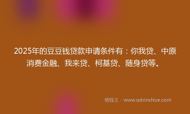 2025年的豆豆钱贷款申请条件有：你我贷、中原消费金融、我来贷、柯基贷、随身贷等。