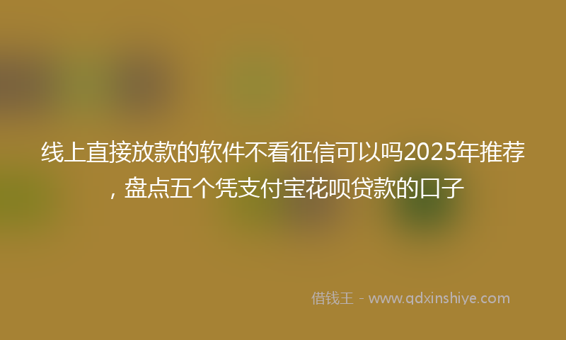 线上直接放款的软件不看征信可以吗2025年推荐，盘点五个凭支付宝花呗贷款的口子