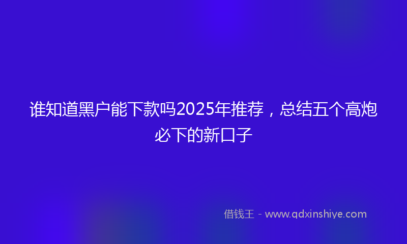 谁知道黑户能下款吗2025年推荐，总结五个高炮必下的新口子
