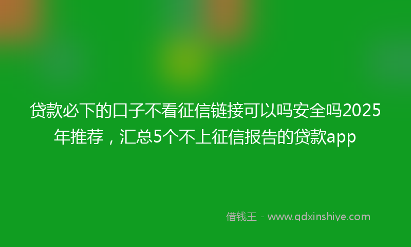 贷款必下的口子不看征信链接可以吗安全吗2025年推荐，汇总5个不上征信报告的贷款app
