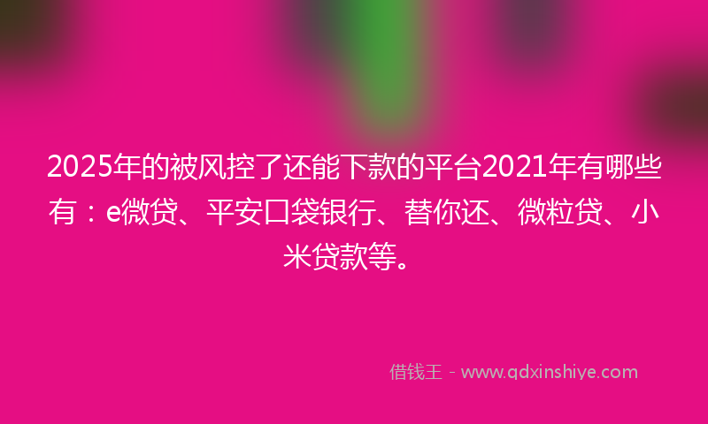2025年的被风控了还能下款的平台2021年有哪些有：e微贷、平安口袋银行、替你还、微粒贷、小米贷款等。