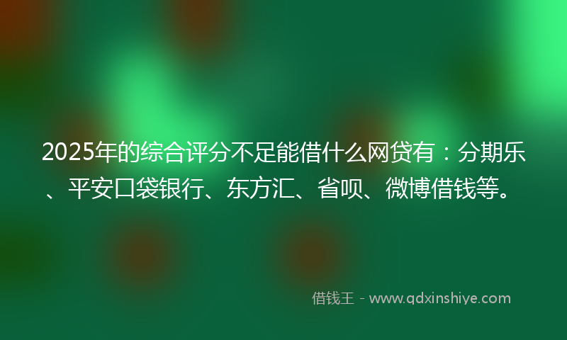 2025年的综合评分不足能借什么网贷有：分期乐、平安口袋银行、东方汇、省呗、微博借钱等。