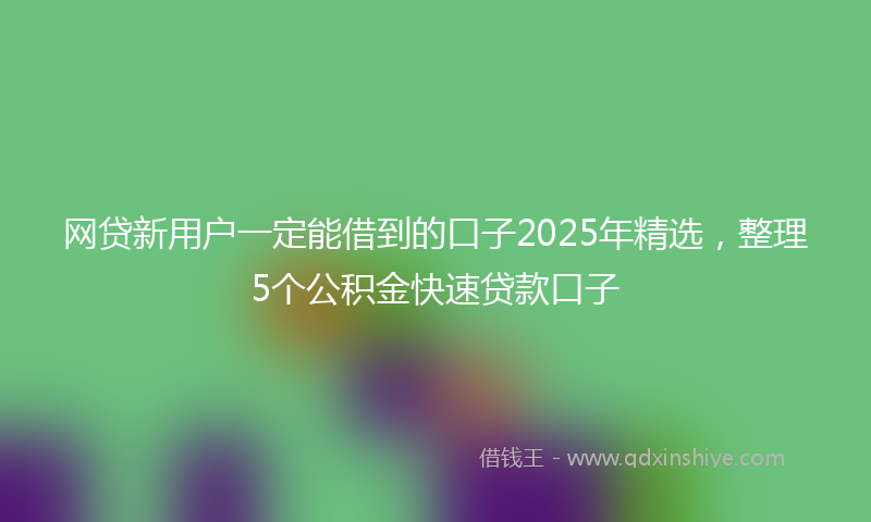 网贷新用户一定能借到的口子2025年精选，整理5个公积金快速贷款口子