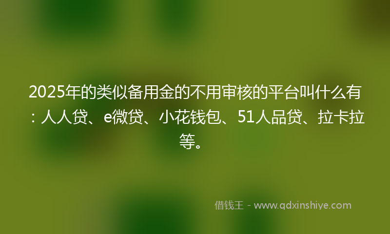 2025年的类似备用金的不用审核的平台叫什么有：人人贷、e微贷、小花钱包、51人品贷、拉卡拉等。
