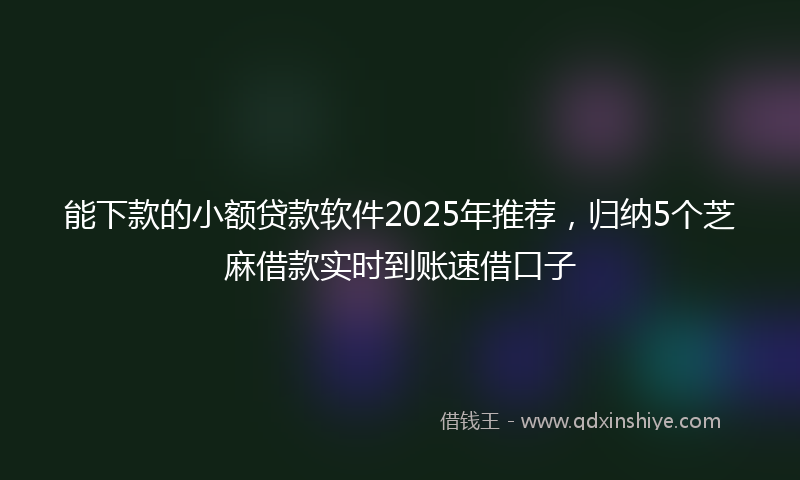 能下款的小额贷款软件2025年推荐，归纳5个芝麻借款实时到账速借口子