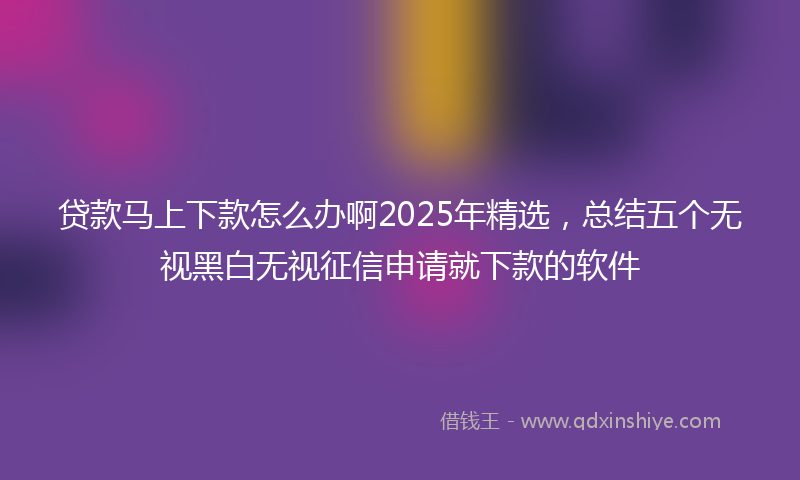 贷款马上下款怎么办啊2025年精选，总结五个无视黑白无视征信申请就下款的软件