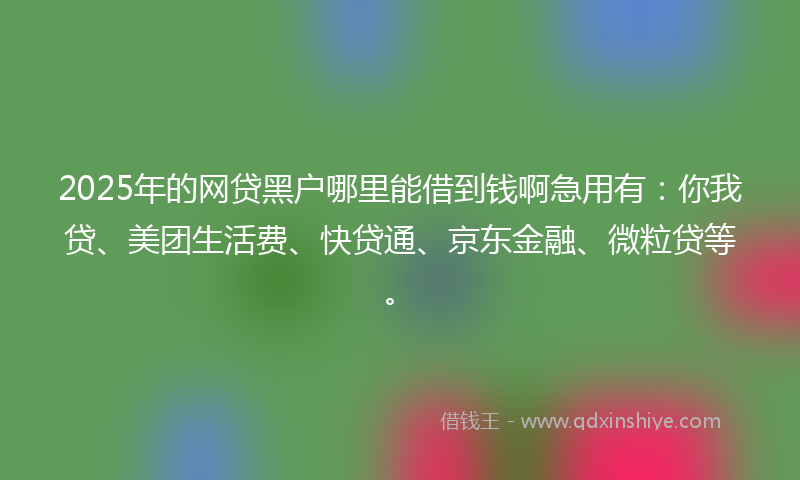 2025年的网贷黑户哪里能借到钱啊急用有：你我贷、美团生活费、快贷通、京东金融、微粒贷等。
