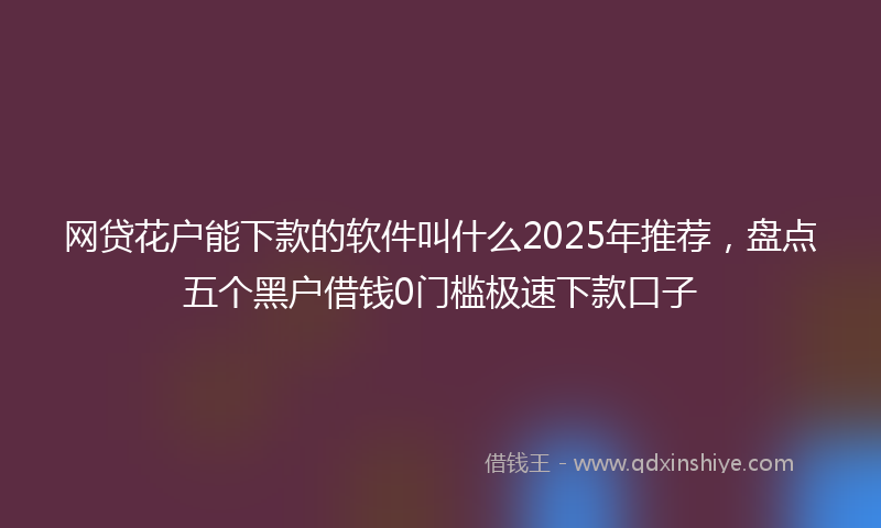 网贷花户能下款的软件叫什么2025年推荐，盘点五个黑户借钱0门槛极速下款口子