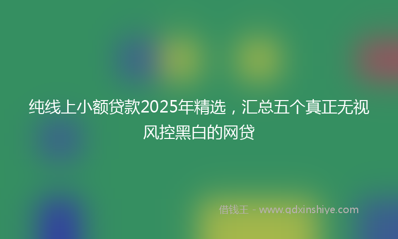 纯线上小额贷款2025年精选，汇总五个真正无视风控黑白的网贷