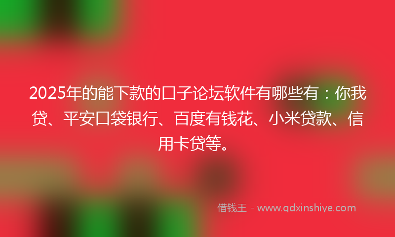 2025年的能下款的口子论坛软件有哪些有：你我贷、平安口袋银行、百度有钱花、小米贷款、信用卡贷等。