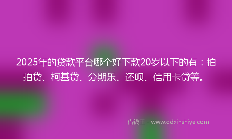 2025年的贷款平台哪个好下款20岁以下的有：拍拍贷、柯基贷、分期乐、还呗、信用卡贷等。