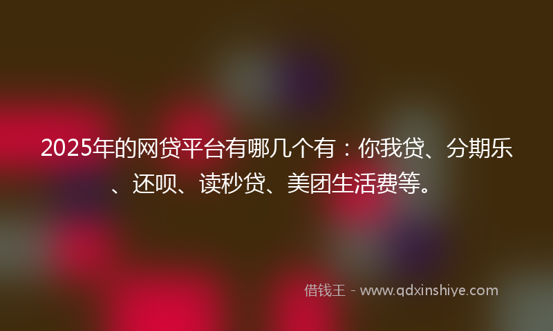 2025年的网贷平台有哪几个有：你我贷、分期乐、还呗、读秒贷、美团生活费等。