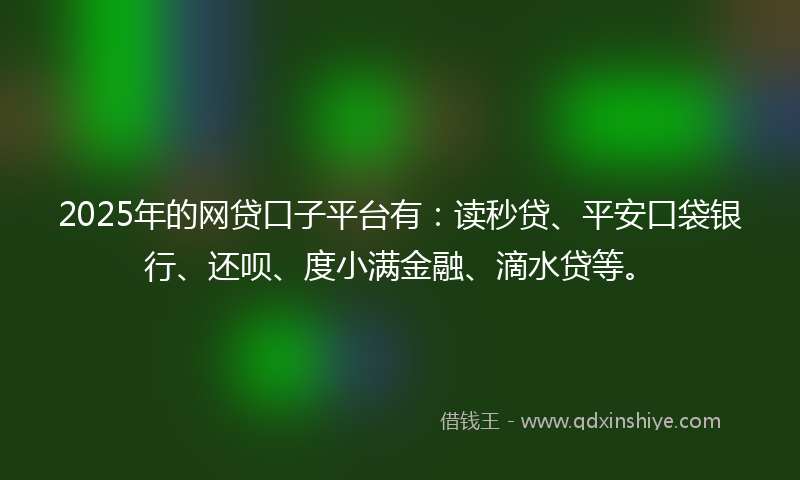 2025年的网贷口子平台有：读秒贷、平安口袋银行、还呗、度小满金融、滴水贷等。