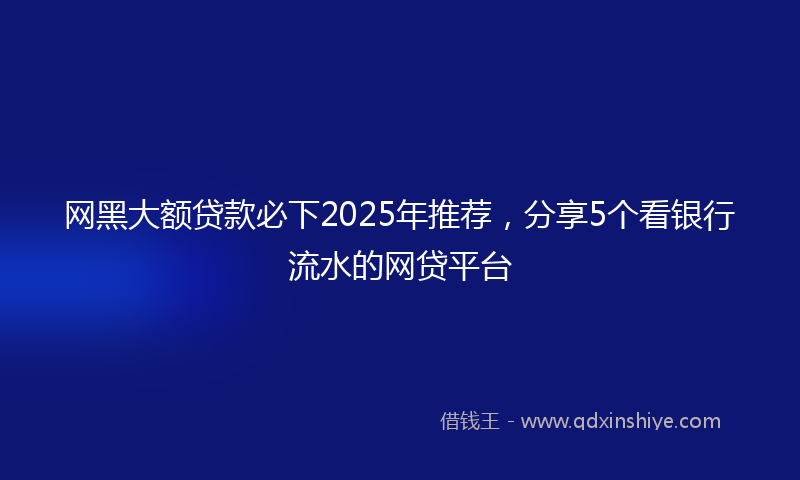 网黑大额贷款必下2025年推荐，分享5个看银行流水的网贷平台