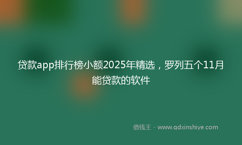 贷款app排行榜小额2025年精选，罗列五个11月能贷款的软件