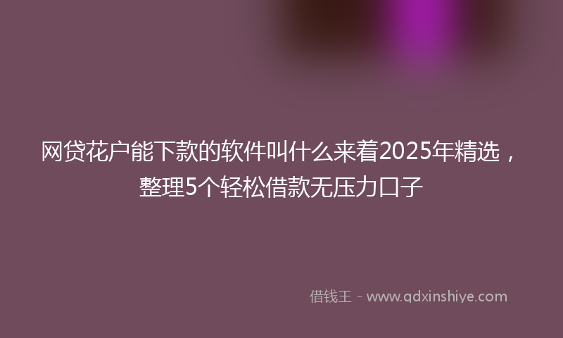 网贷花户能下款的软件叫什么来着2025年精选，整理5个轻松借款无压力口子