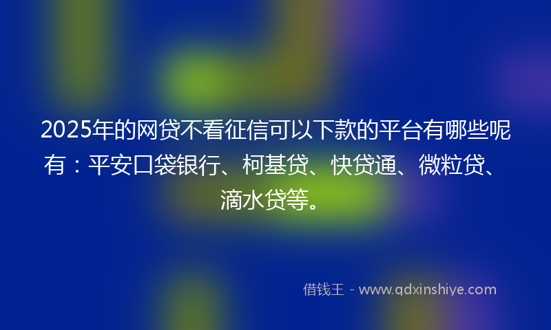 2025年的网贷不看征信可以下款的平台有哪些呢有：平安口袋银行、柯基贷、快贷通、微粒贷、滴水贷等。
