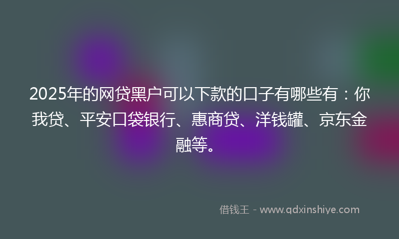 2025年的网贷黑户可以下款的口子有哪些有：你我贷、平安口袋银行、惠商贷、洋钱罐、京东金融等。