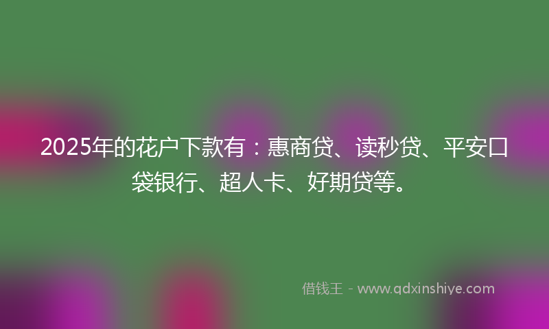 2025年的花户下款有：惠商贷、读秒贷、平安口袋银行、超人卡、好期贷等。