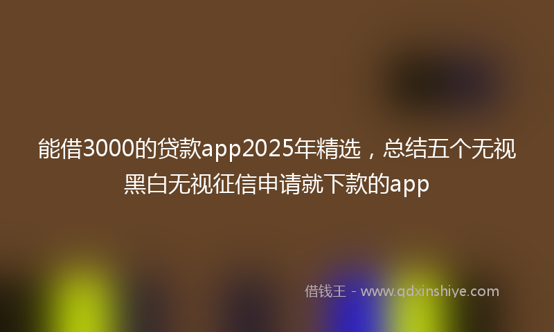 能借3000的贷款app2025年精选，总结五个无视黑白无视征信申请就下款的app