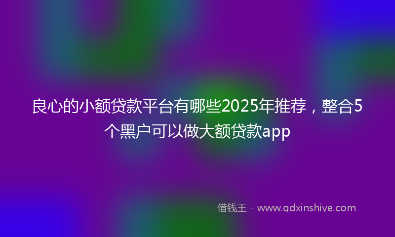 良心的小额贷款平台有哪些2025年推荐，整合5个黑户可以做大额贷款app
