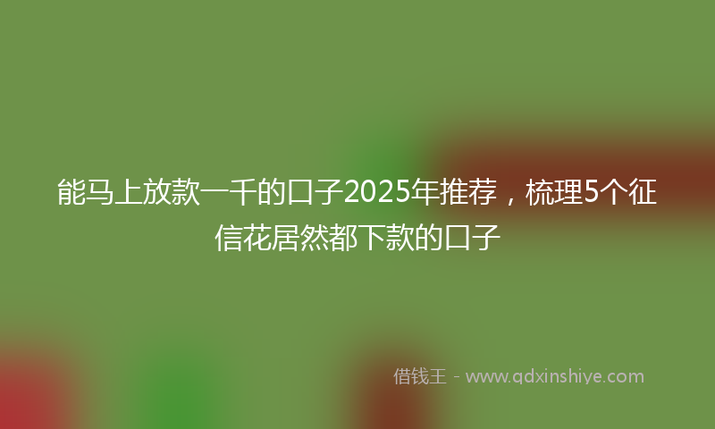 能马上放款一千的口子2025年推荐，梳理5个征信花居然都下款的口子