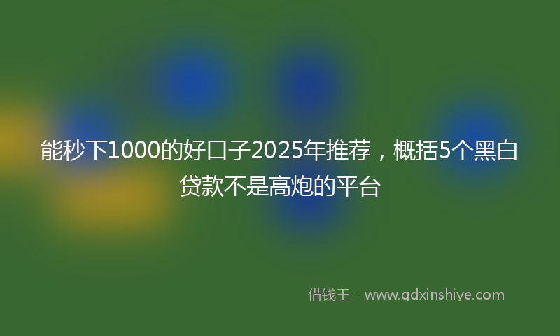 能秒下1000的好口子2025年推荐，概括5个黑白贷款不是高炮的平台