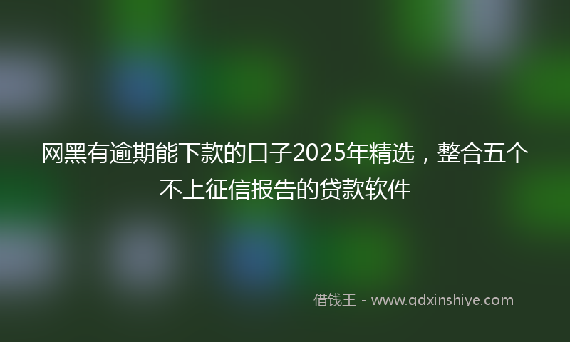 网黑有逾期能下款的口子2025年精选，整合五个不上征信报告的贷款软件