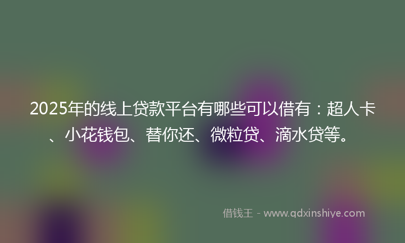 2025年的线上贷款平台有哪些可以借有：超人卡、小花钱包、替你还、微粒贷、滴水贷等。
