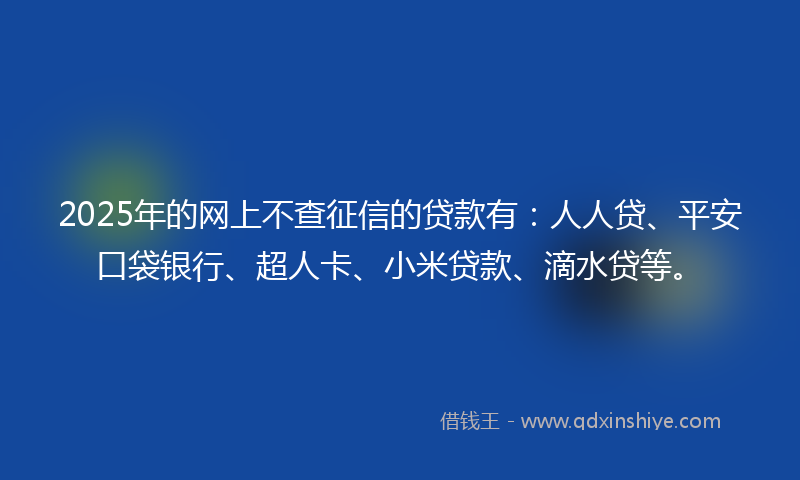 2025年的网上不查征信的贷款有：人人贷、平安口袋银行、超人卡、小米贷款、滴水贷等。