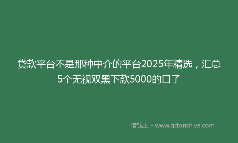 贷款平台不是那种中介的平台2025年精选，汇总5个无视双黑下款5000的口子