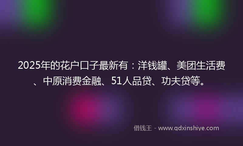 2025年的花户口子最新有：洋钱罐、美团生活费、中原消费金融、51人品贷、功夫贷等。