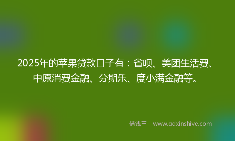 2025年的苹果贷款口子有：省呗、美团生活费、中原消费金融、分期乐、度小满金融等。