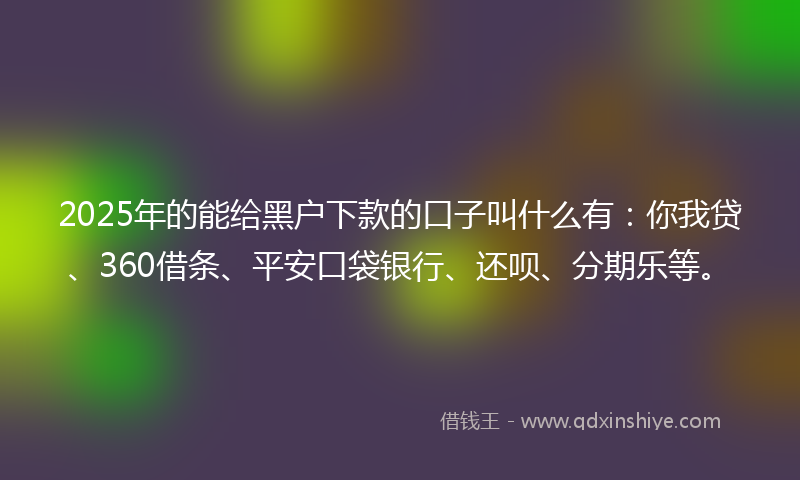 2025年的能给黑户下款的口子叫什么有：你我贷、360借条、平安口袋银行、还呗、分期乐等。