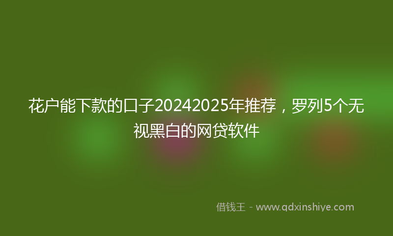 花户能下款的口子20242025年推荐,罗列5个无视黑白的网贷软件