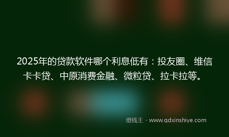 2025年的贷款软件哪个利息低有：投友圈、维信卡卡贷、中原消费金融、微粒贷、拉卡拉等。