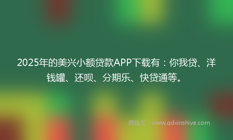 2025年的美兴小额贷款APP下载有：你我贷、洋钱罐、还呗、分期乐、快贷通等。