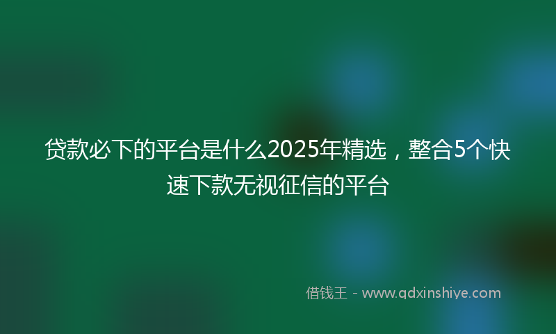 贷款必下的平台是什么2025年精选，整合5个快速下款无视征信的平台