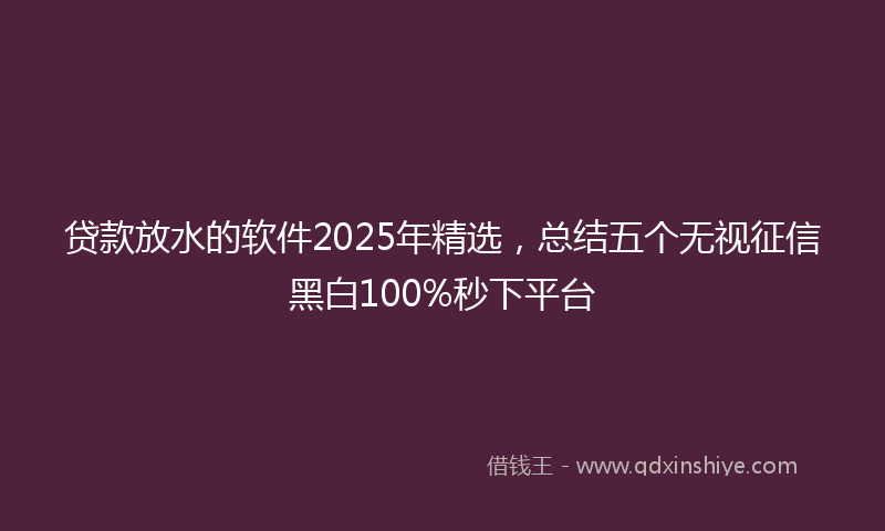 贷款放水的软件2025年精选，总结五个无视征信黑白100%秒下平台